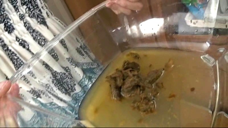 サンプル画像 5