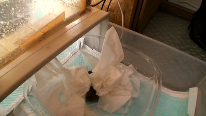 サンプル画像 21