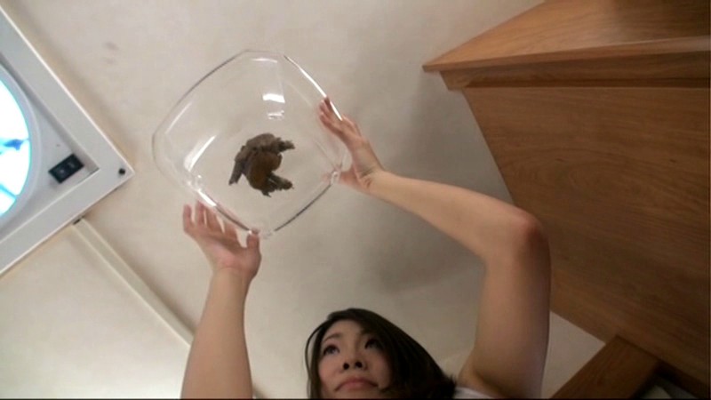 サンプル画像 20