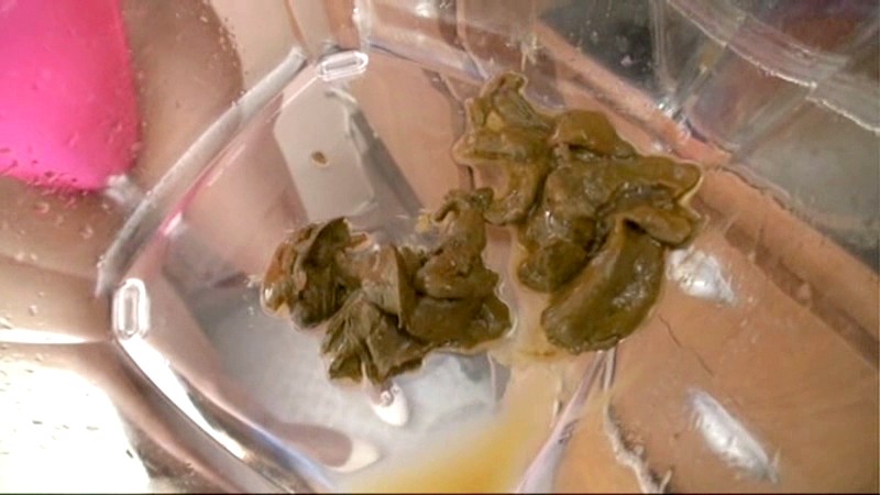 サンプル画像 13