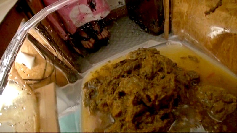 サンプル画像 5