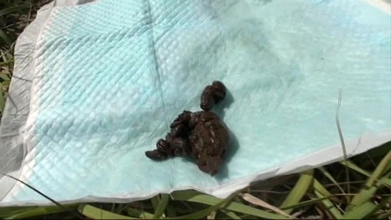 サンプル画像 21