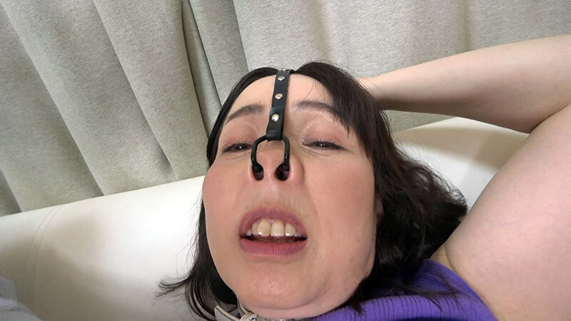 サンプル画像 11