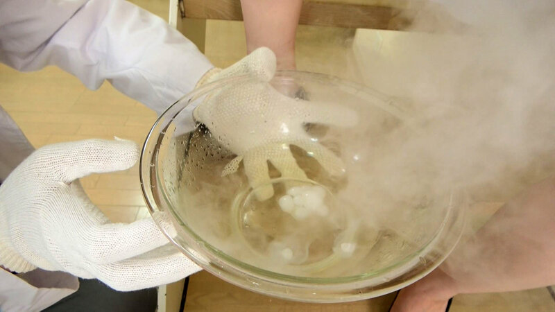 サンプル画像 3