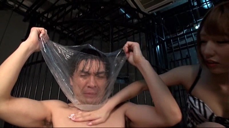 サンプル画像 7