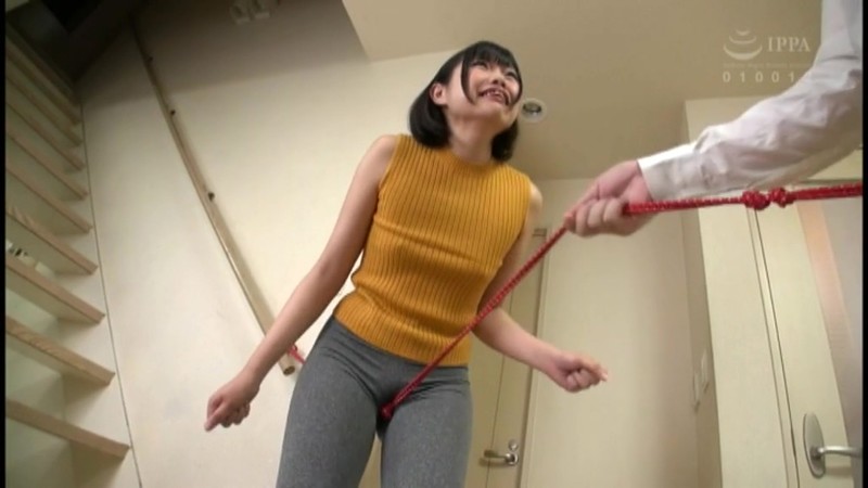 サンプル画像 11