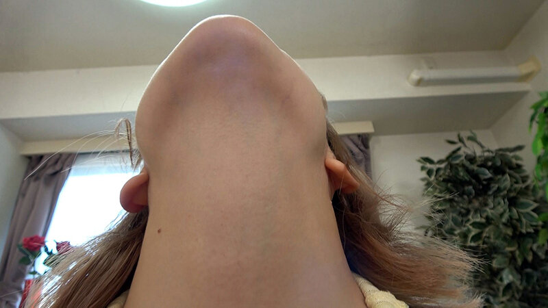 サンプル画像 8