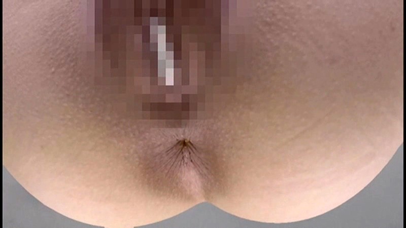 サンプル画像 14