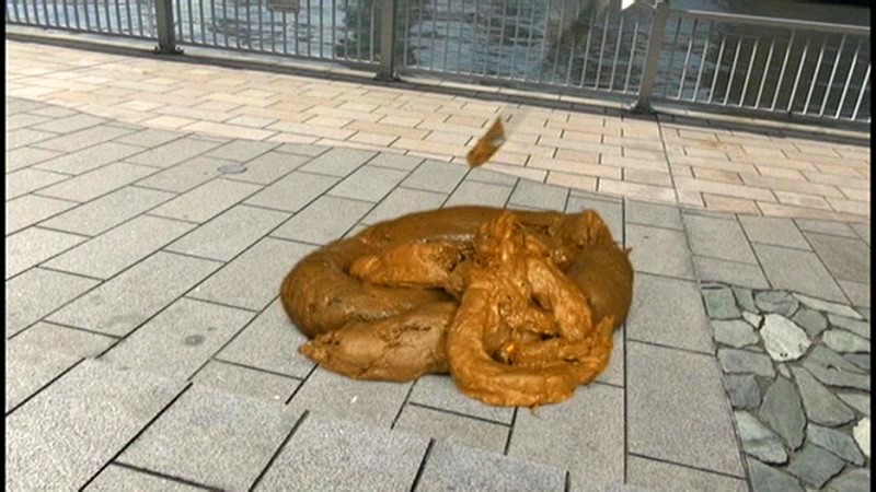 サンプル画像 4