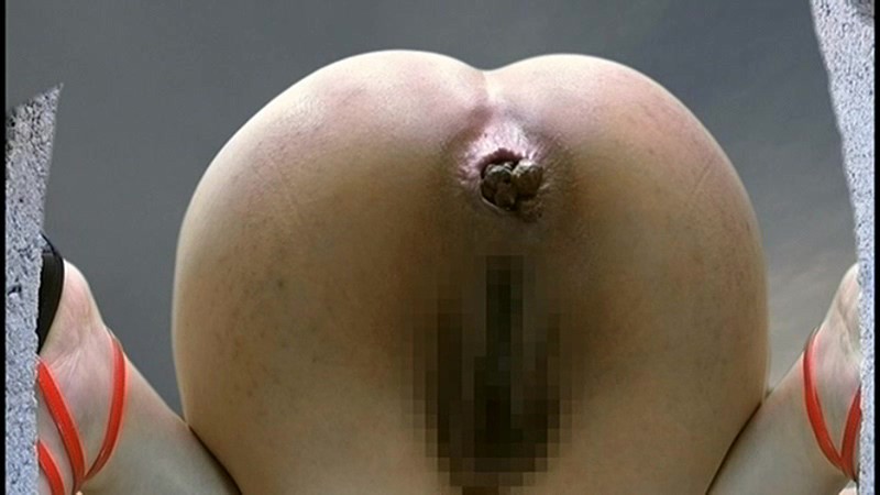 サンプル画像 20