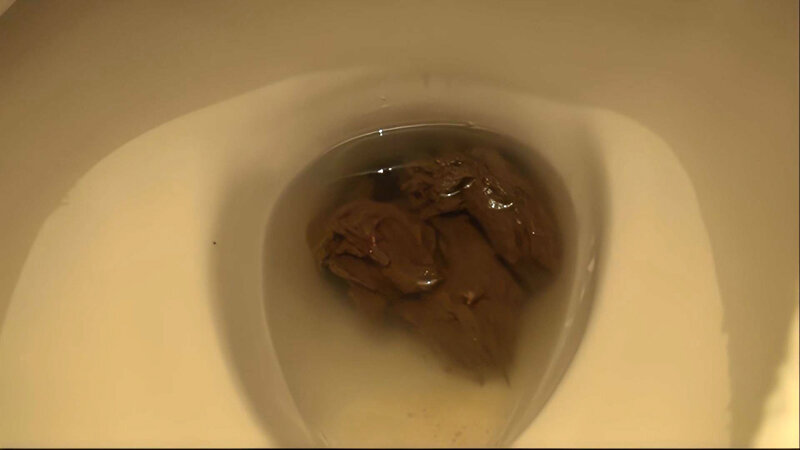 サンプル画像 14