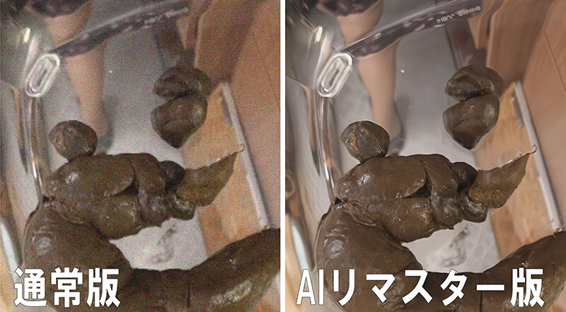 サンプル画像 5