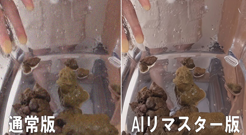 サンプル画像 4