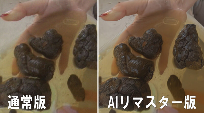 サンプル画像 5