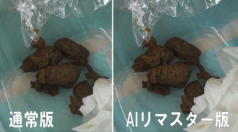 サンプル画像 6