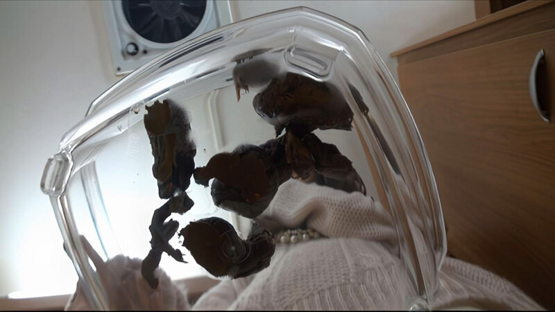 サンプル画像 9