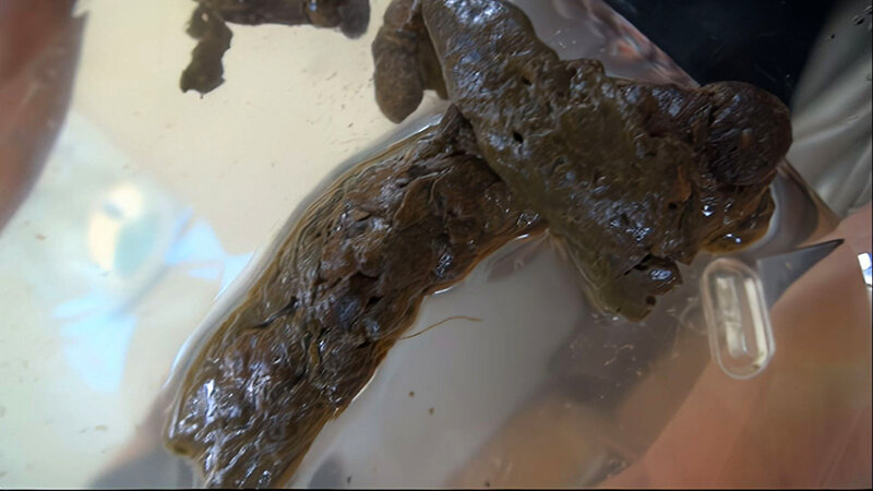 サンプル画像 8