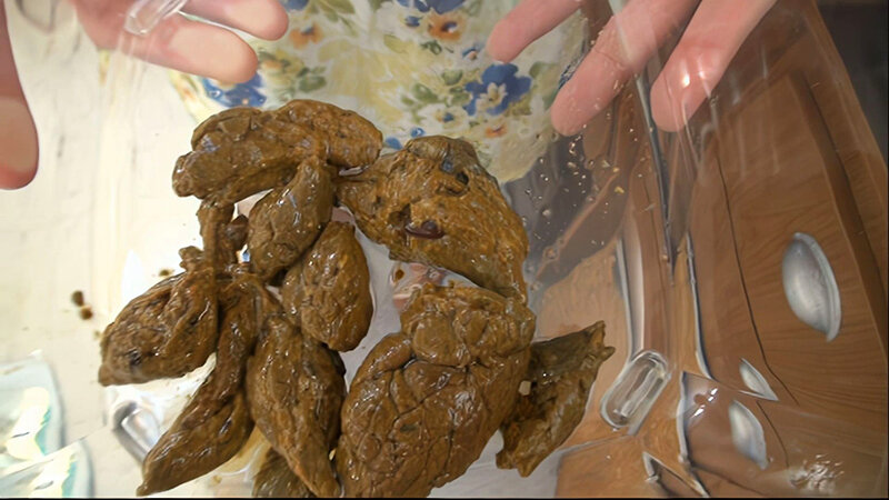 サンプル画像 10