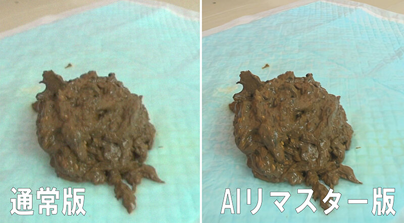 サンプル画像 5