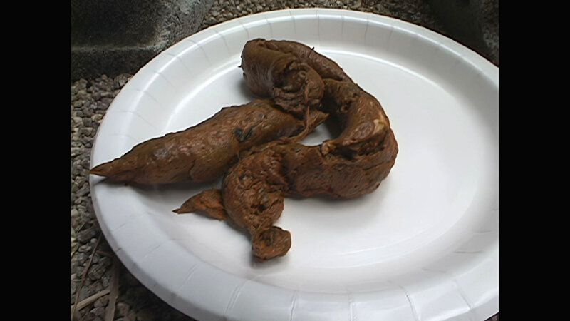 サンプル画像 17