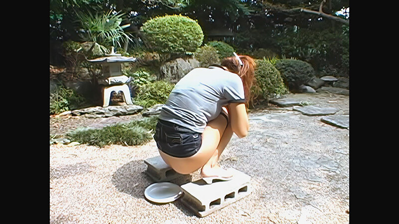 サンプル画像 9