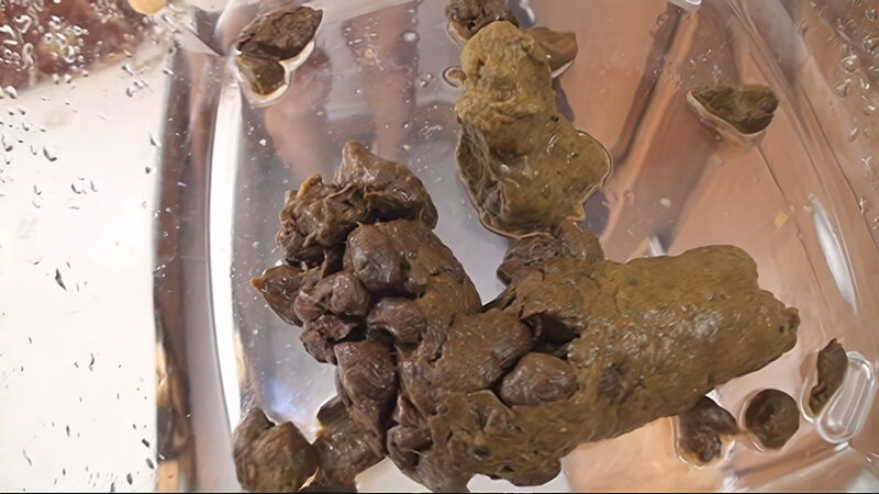 サンプル画像 12