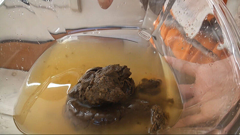 サンプル画像 19