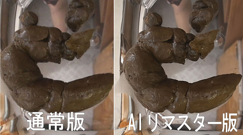 サンプル画像 6