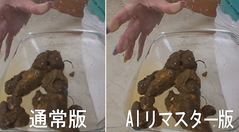 サンプル画像 3