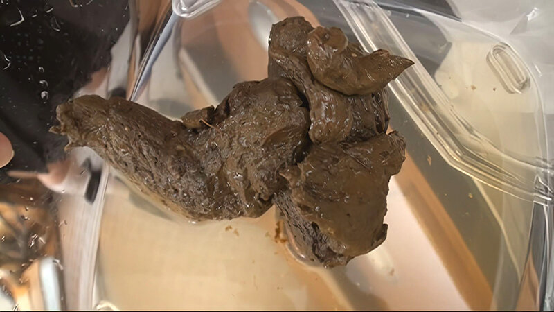 サンプル画像 16