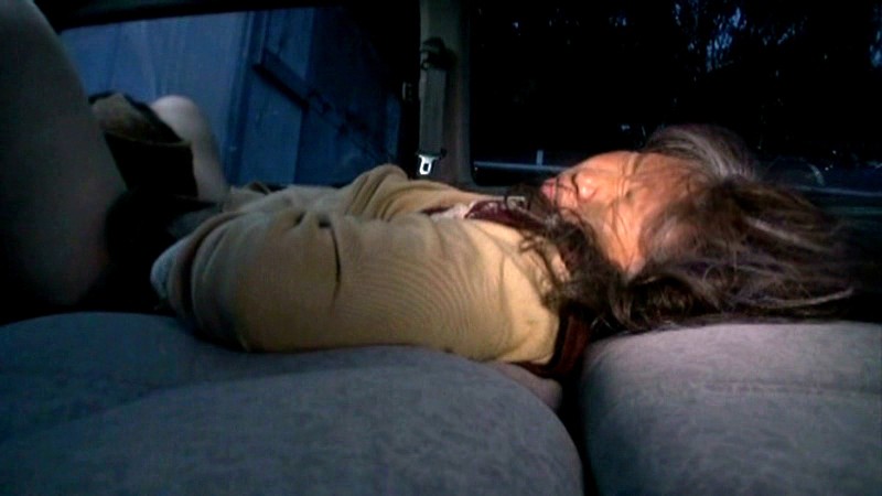 サンプル画像 10