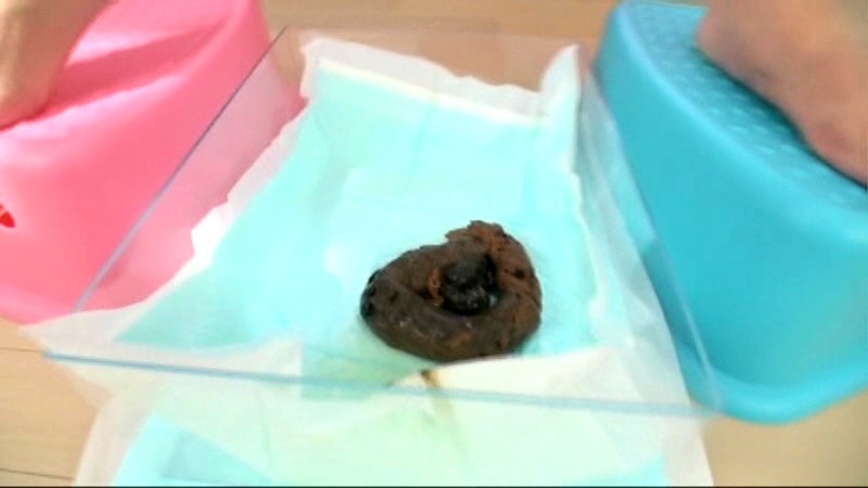 サンプル画像 12