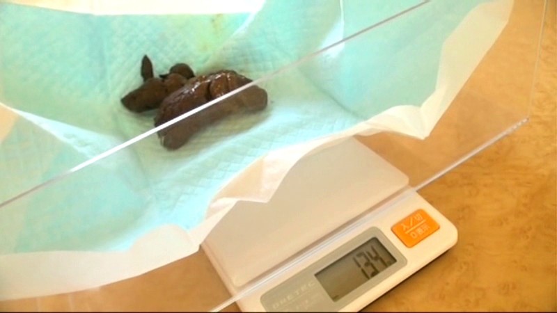 サンプル画像 14