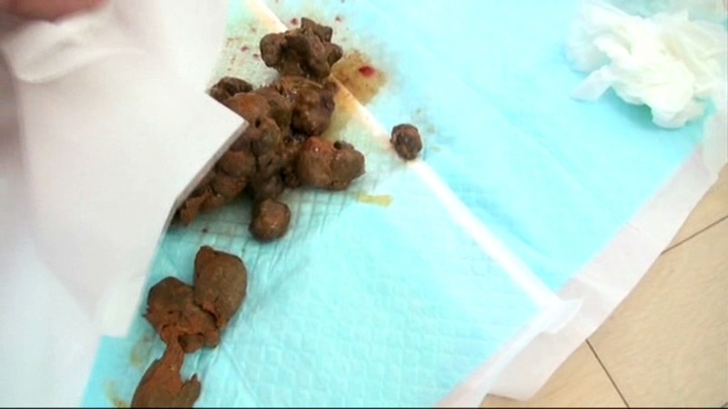 サンプル画像 20