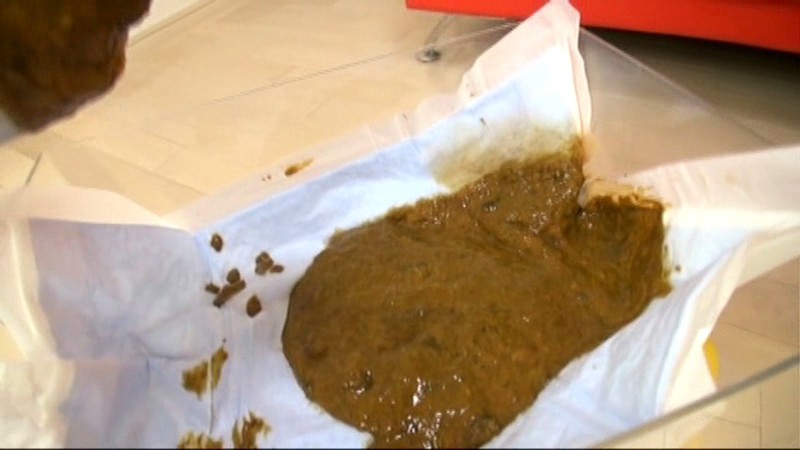 サンプル画像 18