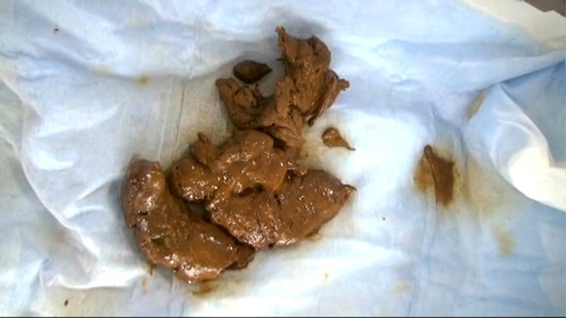 サンプル画像 4