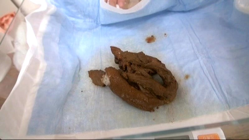 サンプル画像 21