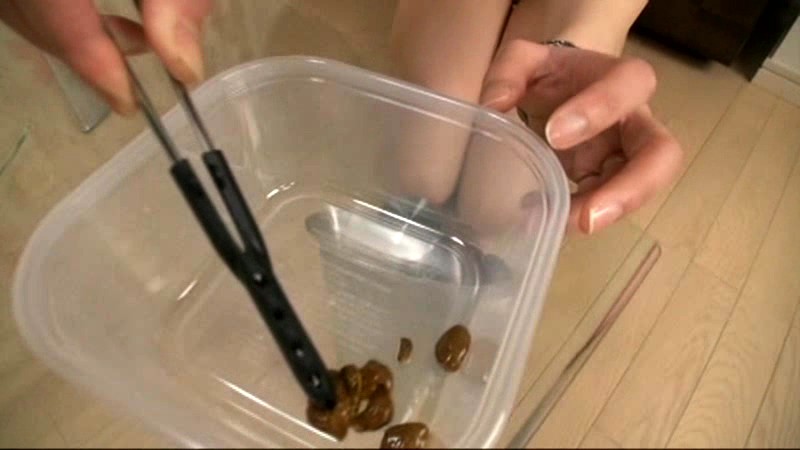 サンプル画像 5