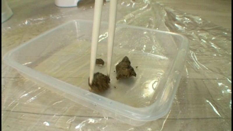 サンプル画像 21