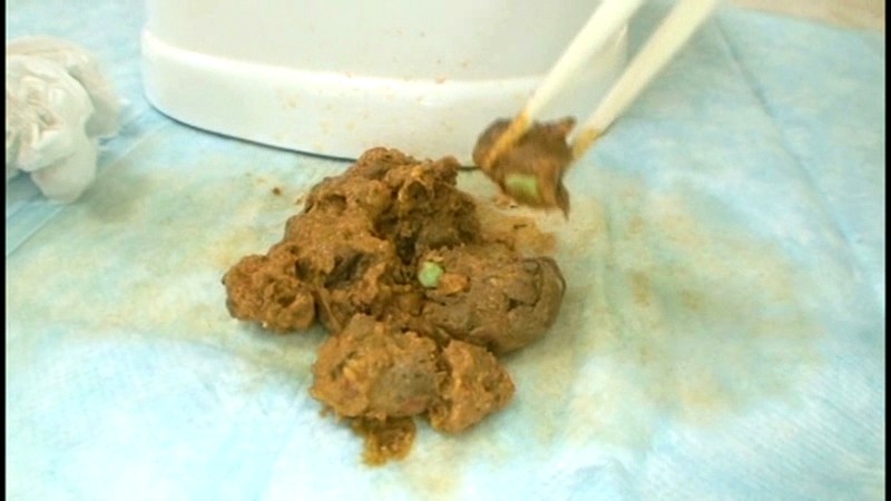 サンプル画像 9