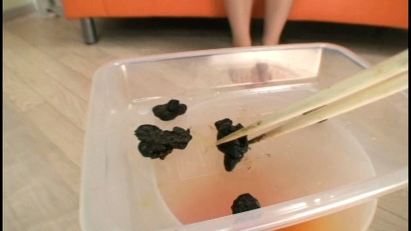 サンプル画像 4