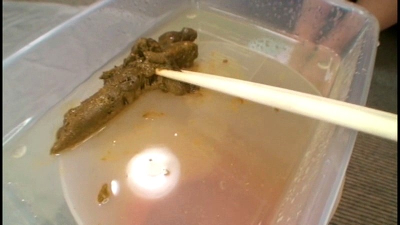 サンプル画像 11