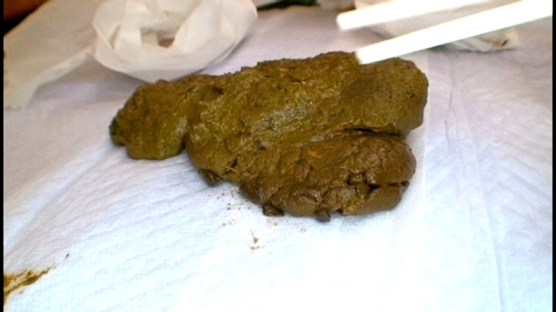 サンプル画像 4