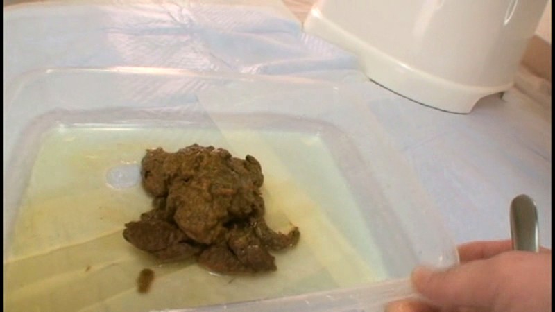 サンプル画像 7