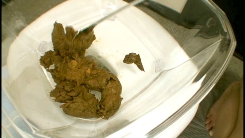 サンプル画像 8