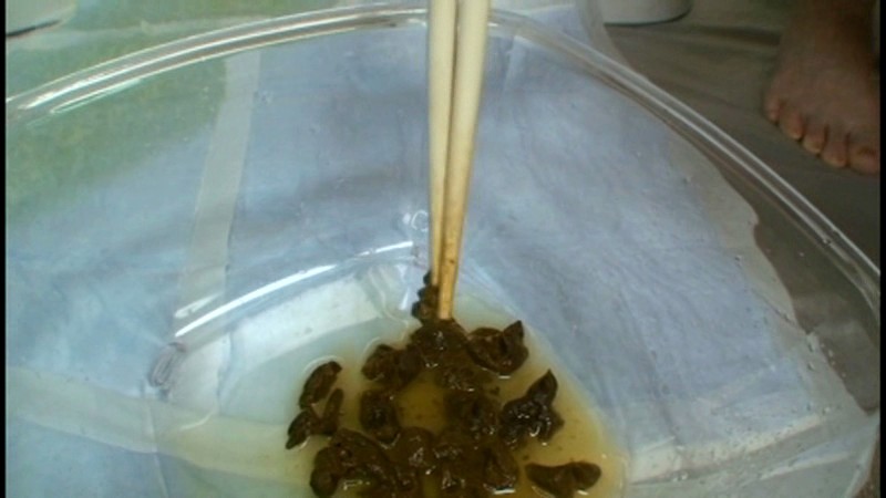 サンプル画像 15