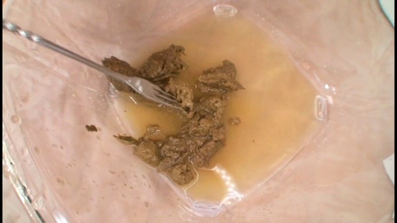 サンプル画像 8