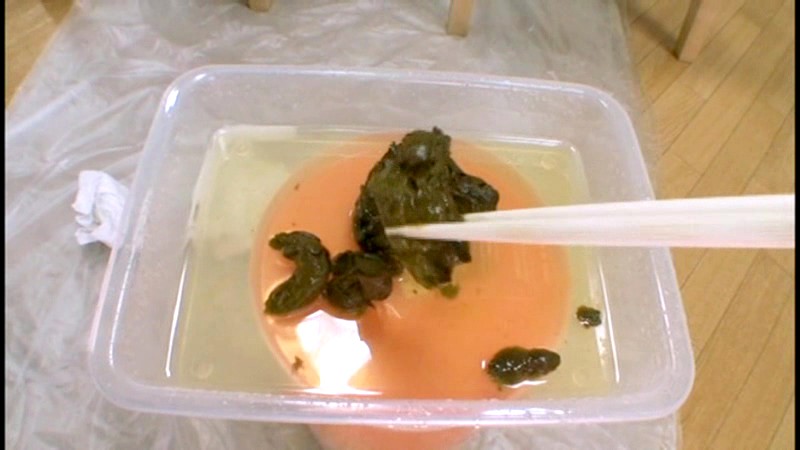 サンプル画像 9