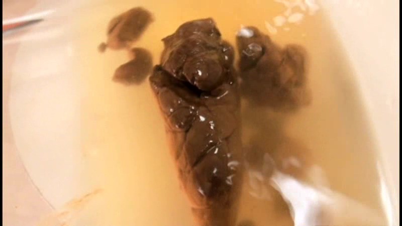 サンプル画像 4