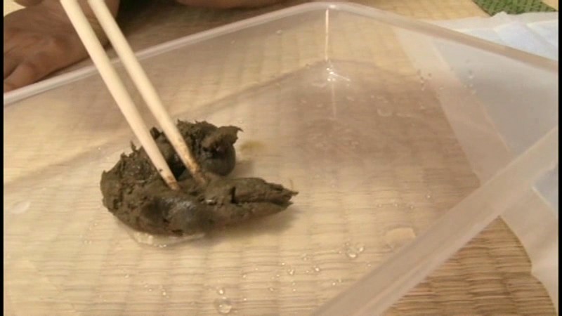 サンプル画像 8